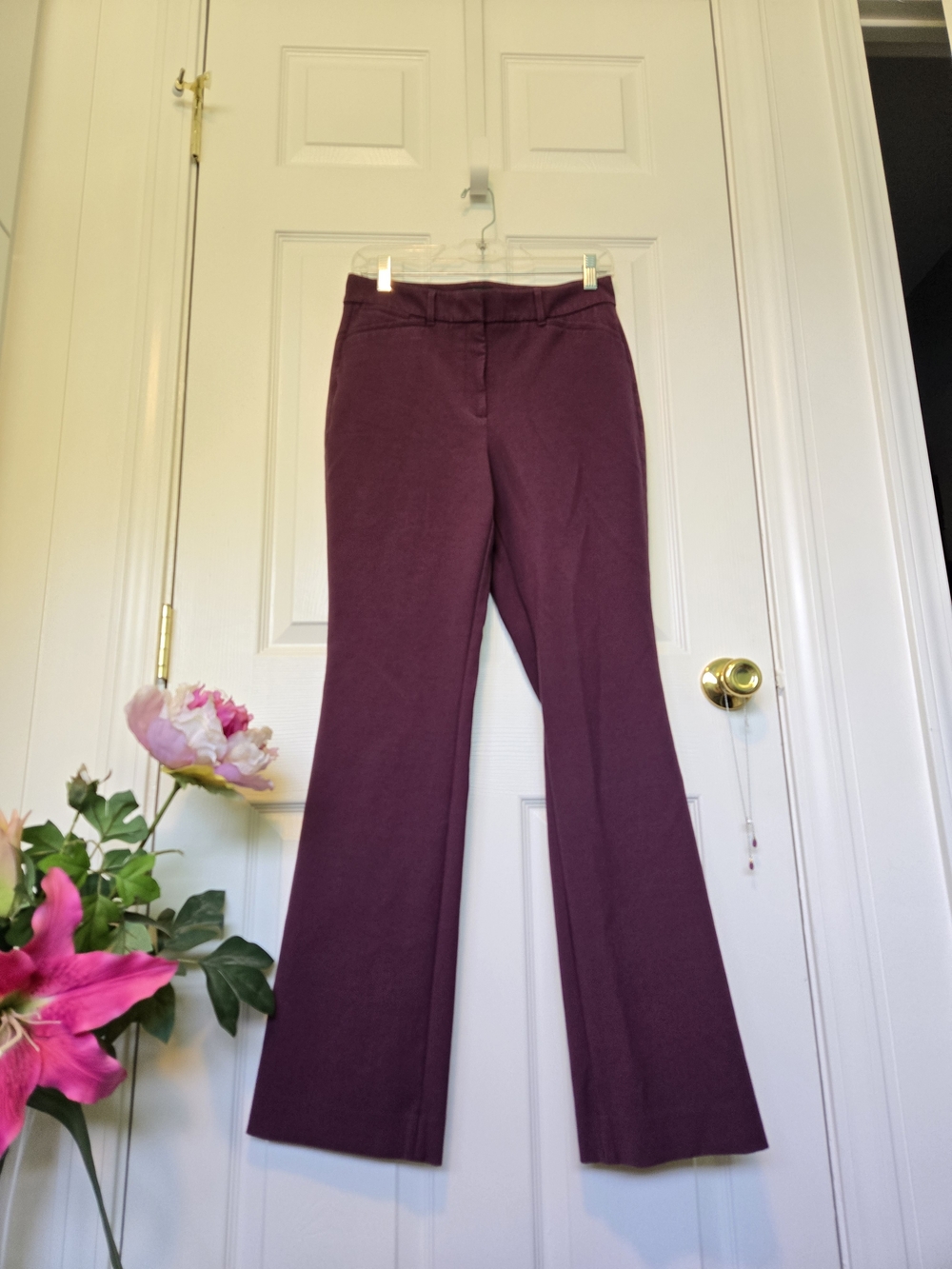 WHBM Boot-Cut Pants Sz 4